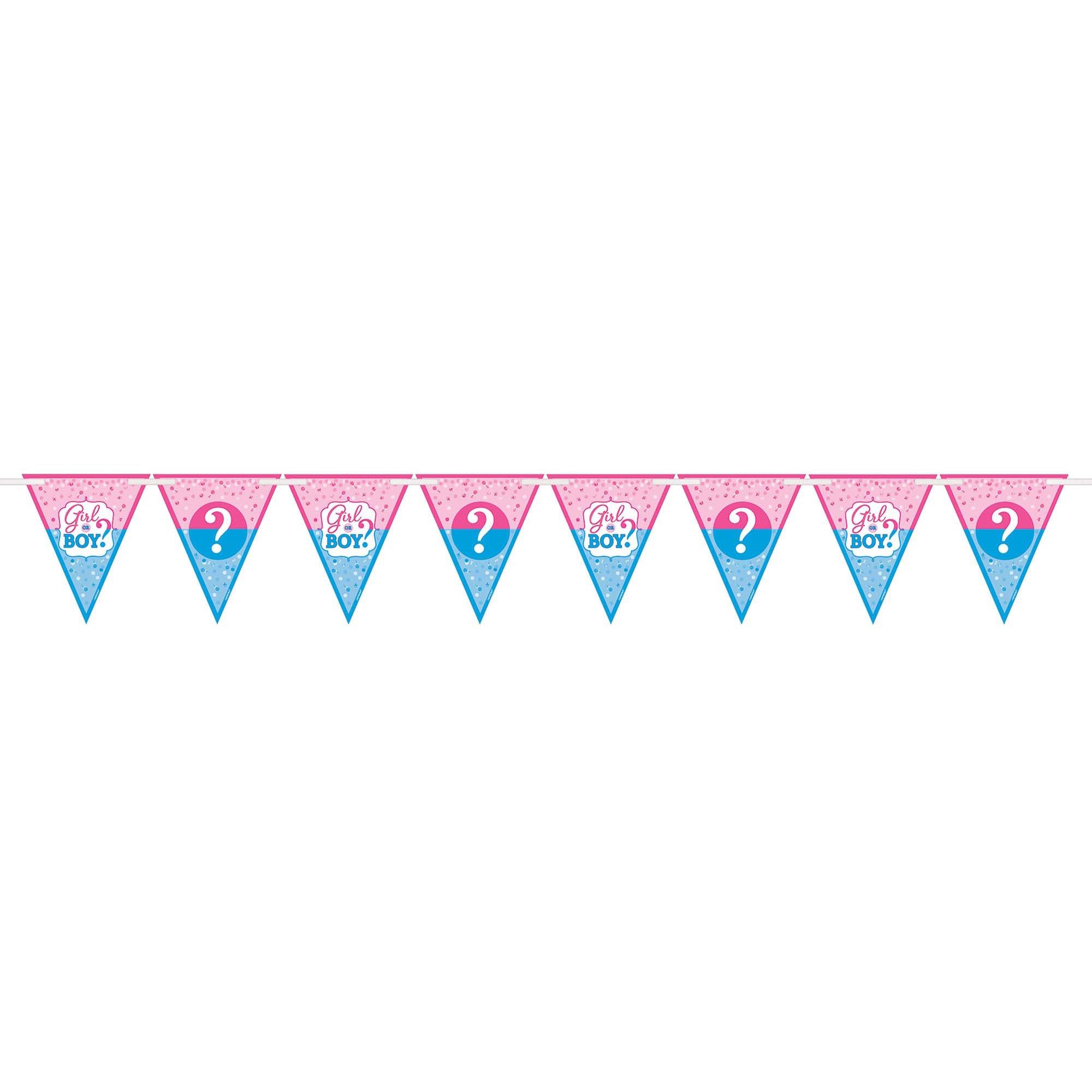 Girl Or Boy? Paper Pennant Banner 15ft Decorations - Party Centre - Party Centre