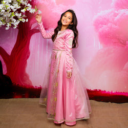Disney Golden Princess Aurora Prestige Dress Up Costume
