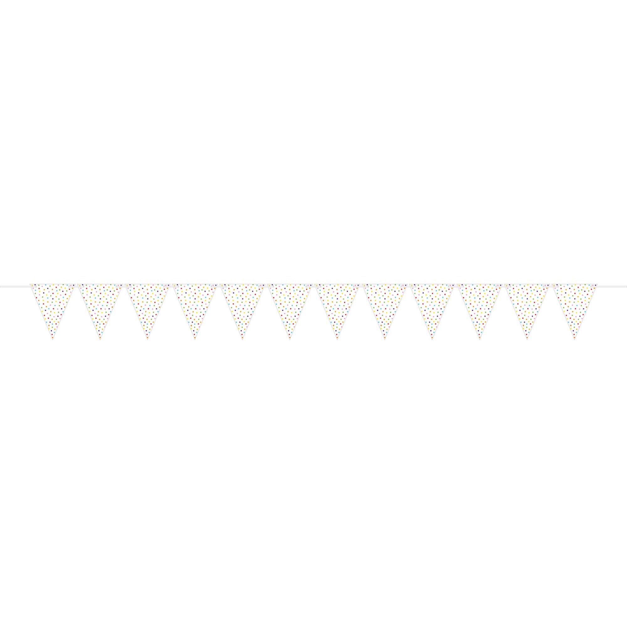 Rainbow Large Paper Pennant Banner - Party Centre