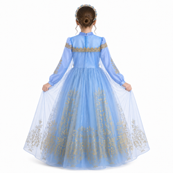 Disney Golden Princess Cinderella Prestige Dress Up Costume