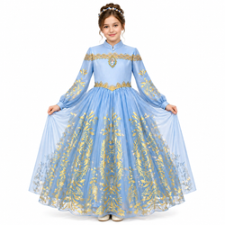 Disney Golden Princess Cinderella Prestige Dress Up Costume