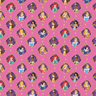 Disney Princesses Keys to the Kingdom Giftwrap - Party Centre