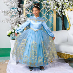 Disney Golden Princess Cinderella Prestige Dress Up Costume
