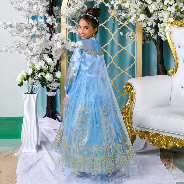 Disney Golden Princess Cinderella Prestige Dress Up Costume