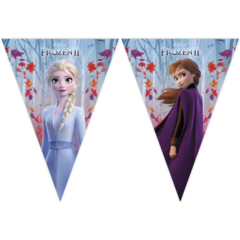 Frozen II Flag Banner Decorations - Party Centre