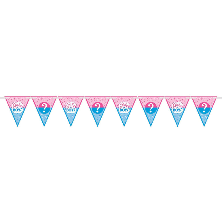 Girl Or Boy? Paper Pennant Banner 15ft Decorations - Party Centre