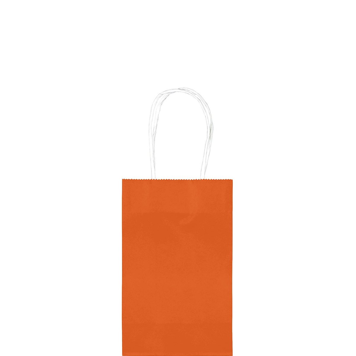 Orange Cub Bag Value Pack 10pcs Party Favors - Party Centre - Party Centre