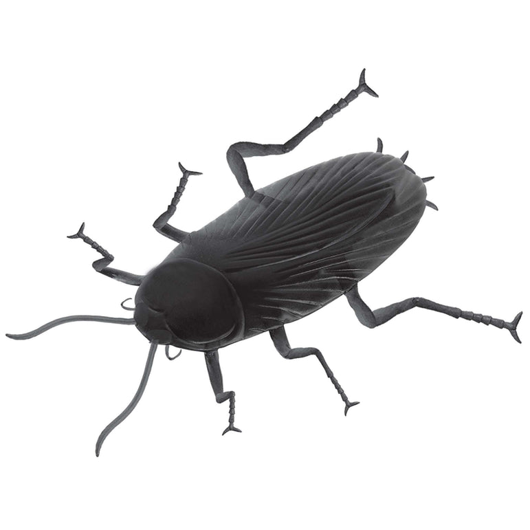 Giant Cockroach Plastic Prop 29cm Decorations - Party Centre