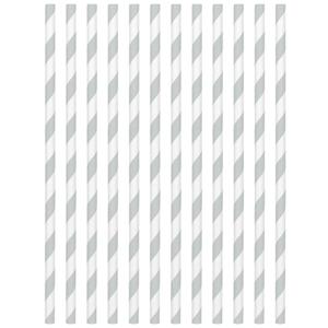 Silver Paper Straws 24pcs Candy Buffet - Party Centre - Party Centre